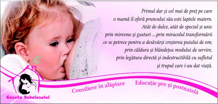casuta bebe